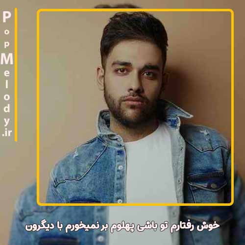 دانلود آهنگ سهیل مهرزادگان خوش رفتارم تو باشی پهلوم بر نمیخورم با دیگرون